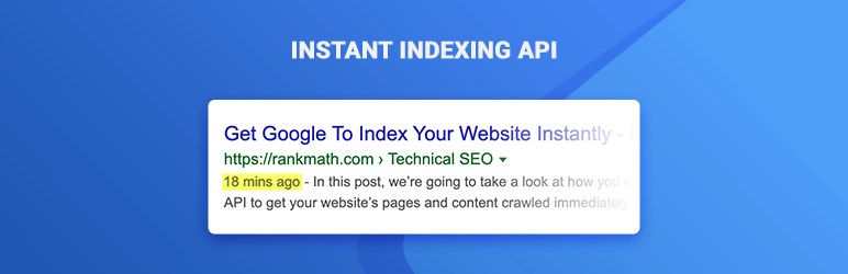 Instant Indexing API